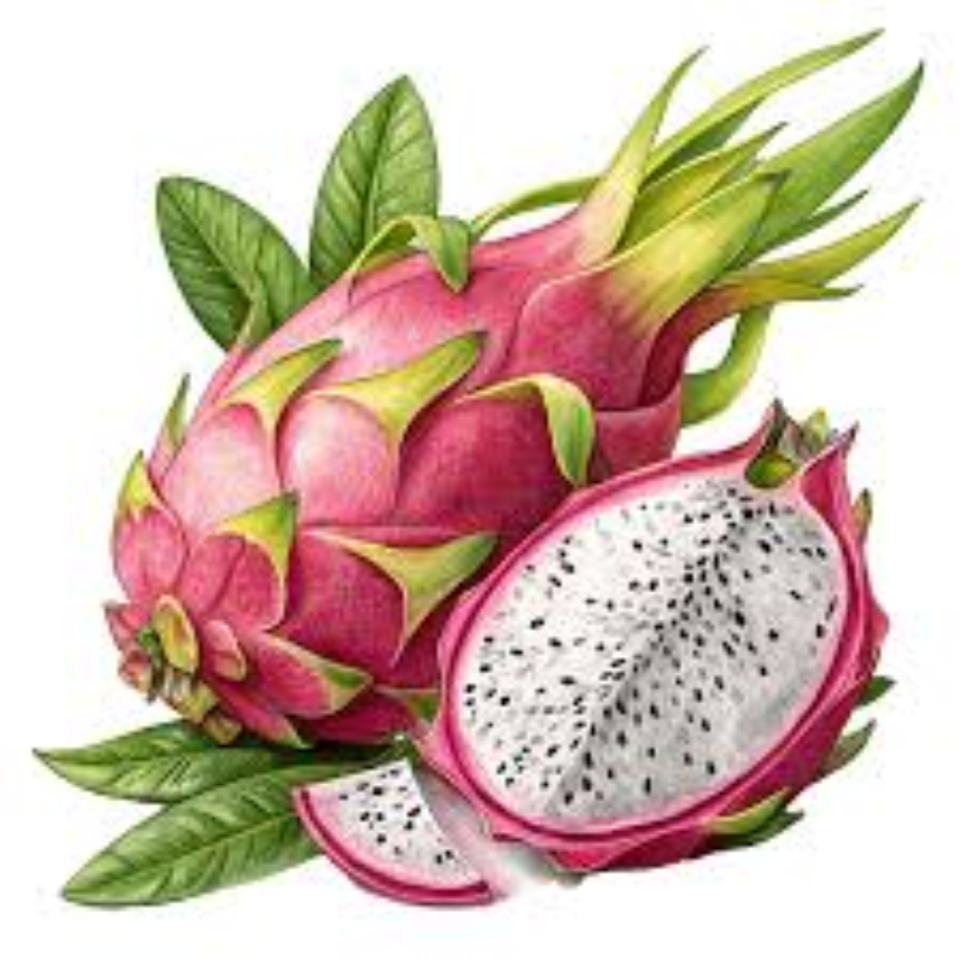 FRESH DRAGON FRUIT 